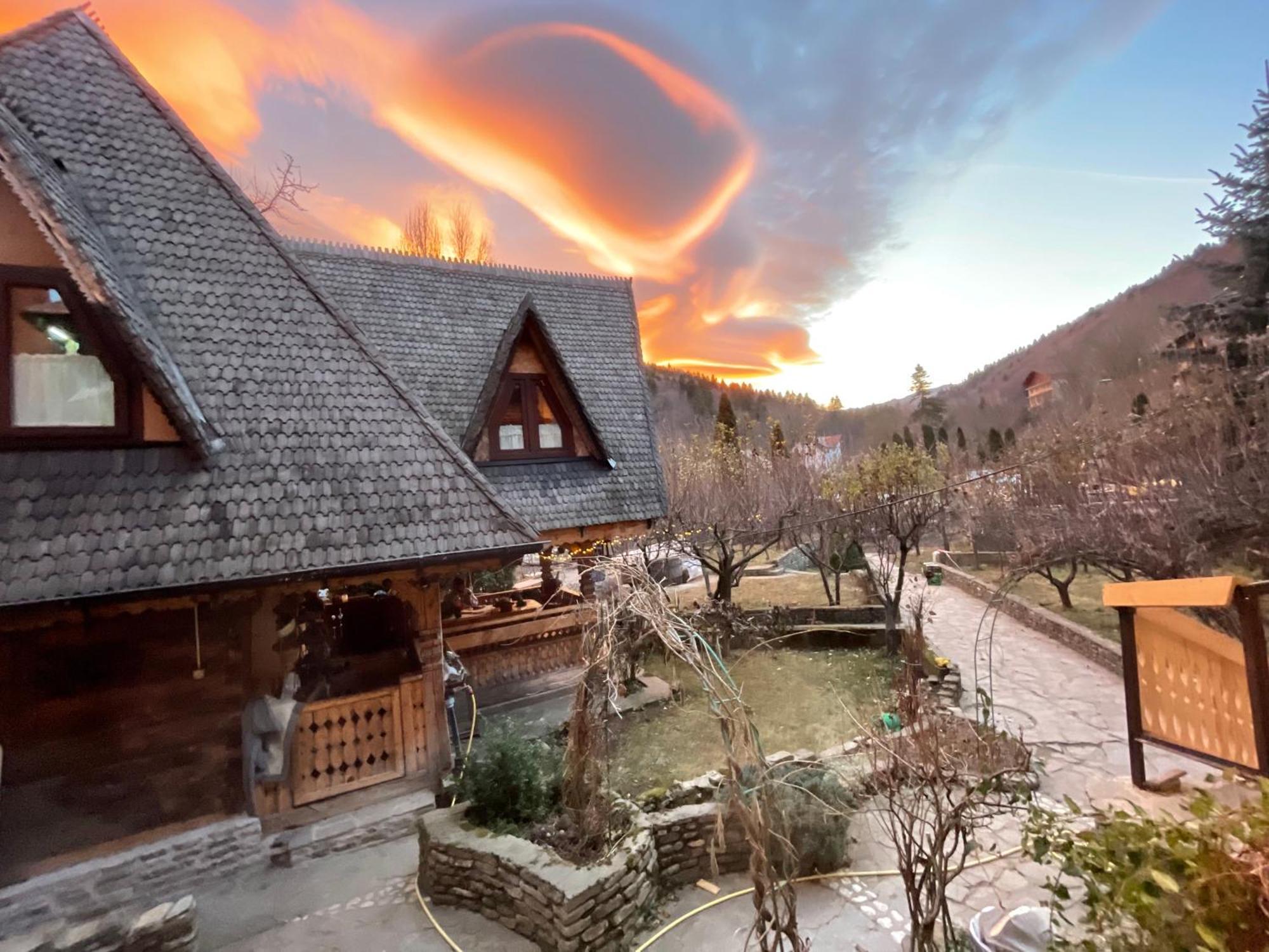 Suita Pin - Catun Sinaia Dış mekan fotoğraf