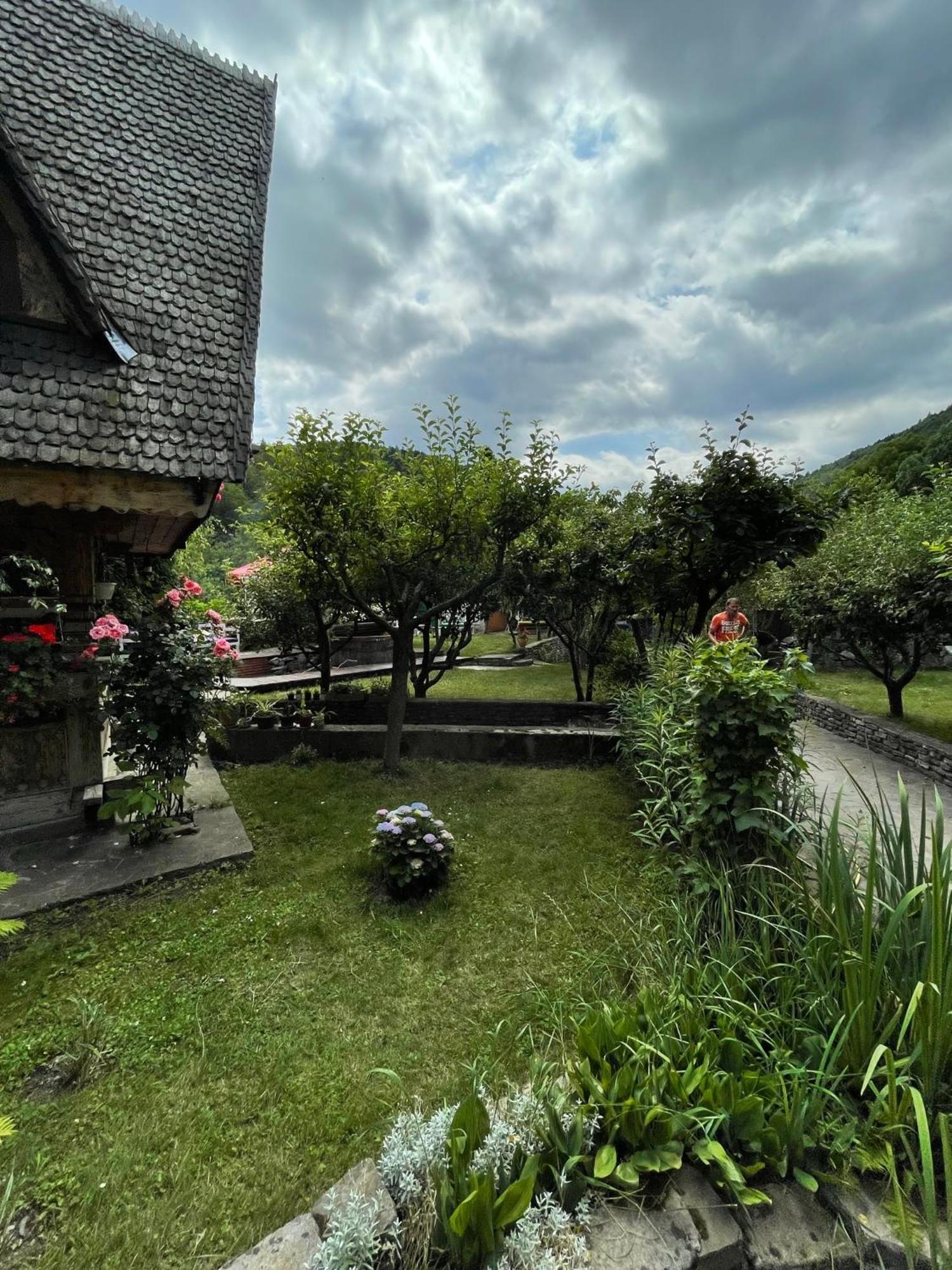Suita Pin - Catun Sinaia Dış mekan fotoğraf